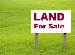 How to invest in land in Kenya.