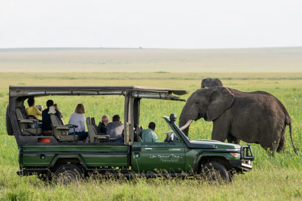 25 Africa safari myths and misconceptions