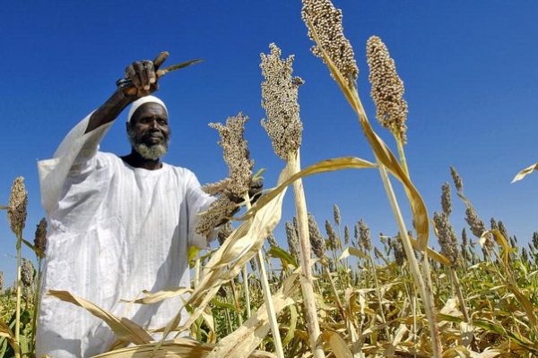 Agriculture as a Way to End Poverty