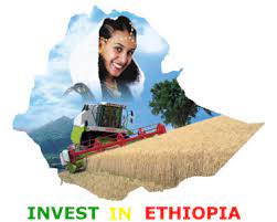 Ethiopia Invited Chinese Investors to Engage in Priority Sectors