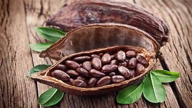 Ghanaian-Swiss company Koa inaugurates Africa’s largest cocoa fruit factory