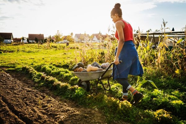Farming as a Home-Based Business Idea