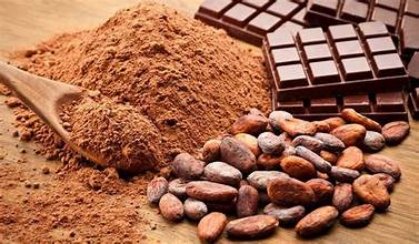 African Cocoa Marketplace to ensure Africa wins from Cocoa Trade